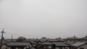 訪問看護ステーション心奏 depression-bipolar関連
