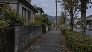 夕方の住宅街の道に、低い日差しで長く伸びる影