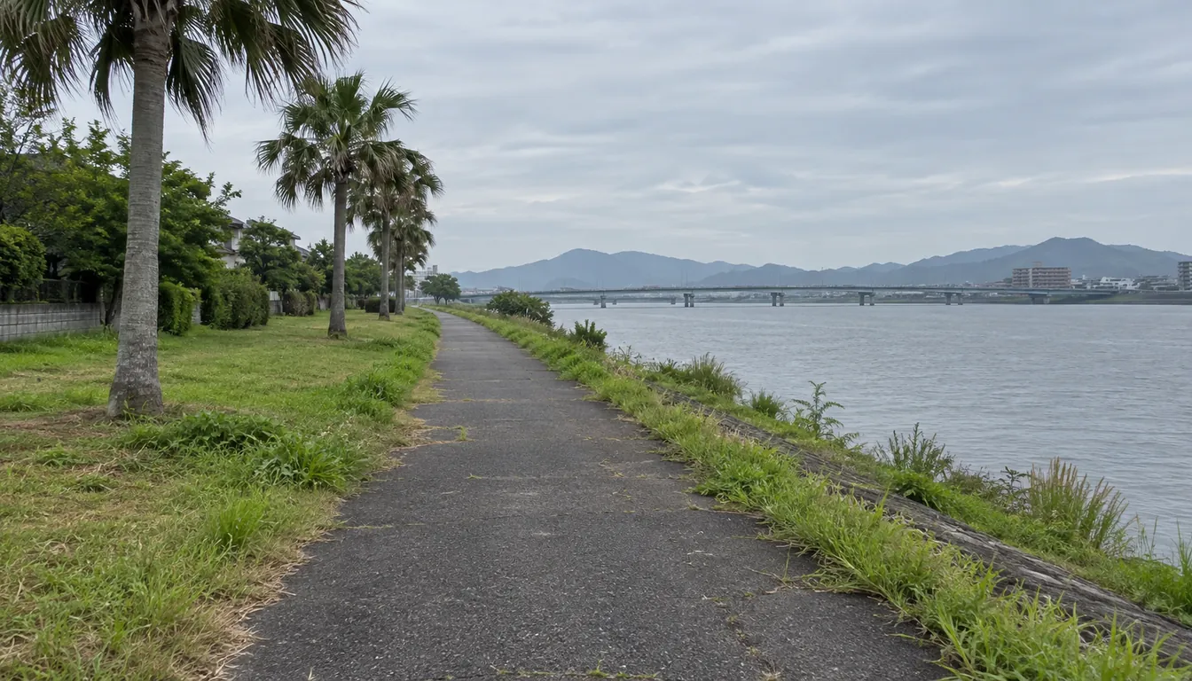 夏の朝の川沿いの遊歩道と街路樹